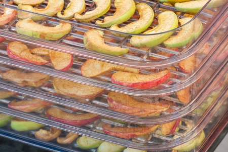 WMF Dörrautomat Obst auf einem WMF Dörrautomat