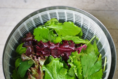 Salatschleuder Salat in einer Salatschleuder