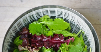 Salatschleuder Salat in einer Salatschleuder