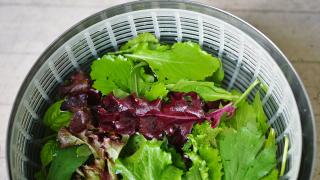 Salat in einer Salatschleuder
