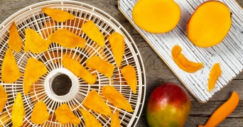 Dörrautomat Mango wird in Dörrautomat gedörrt