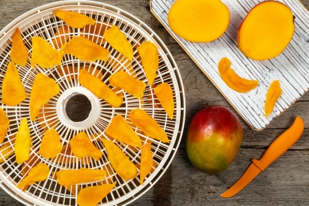 Dörrautomat Mango wird in Dörrautomat gedörrt