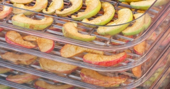 WMF Dörrautomat Obst auf einem WMF Dörrautomat