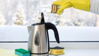 Person beim Wasserkocher entkalken